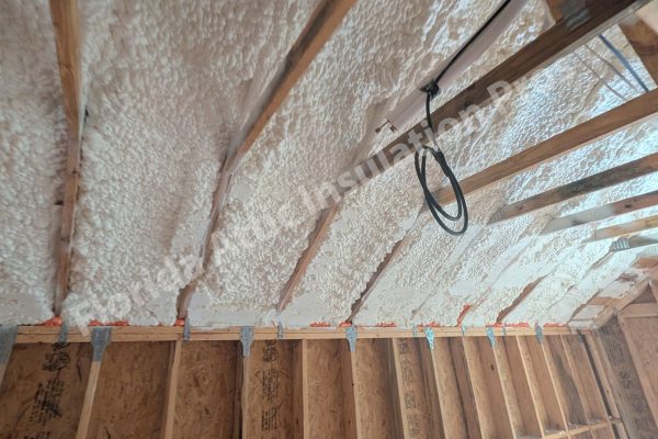 orlando-spray-foam-home-1